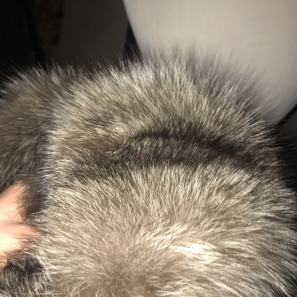 SOLD fox trapper Russian hat - Picture 4 of 5